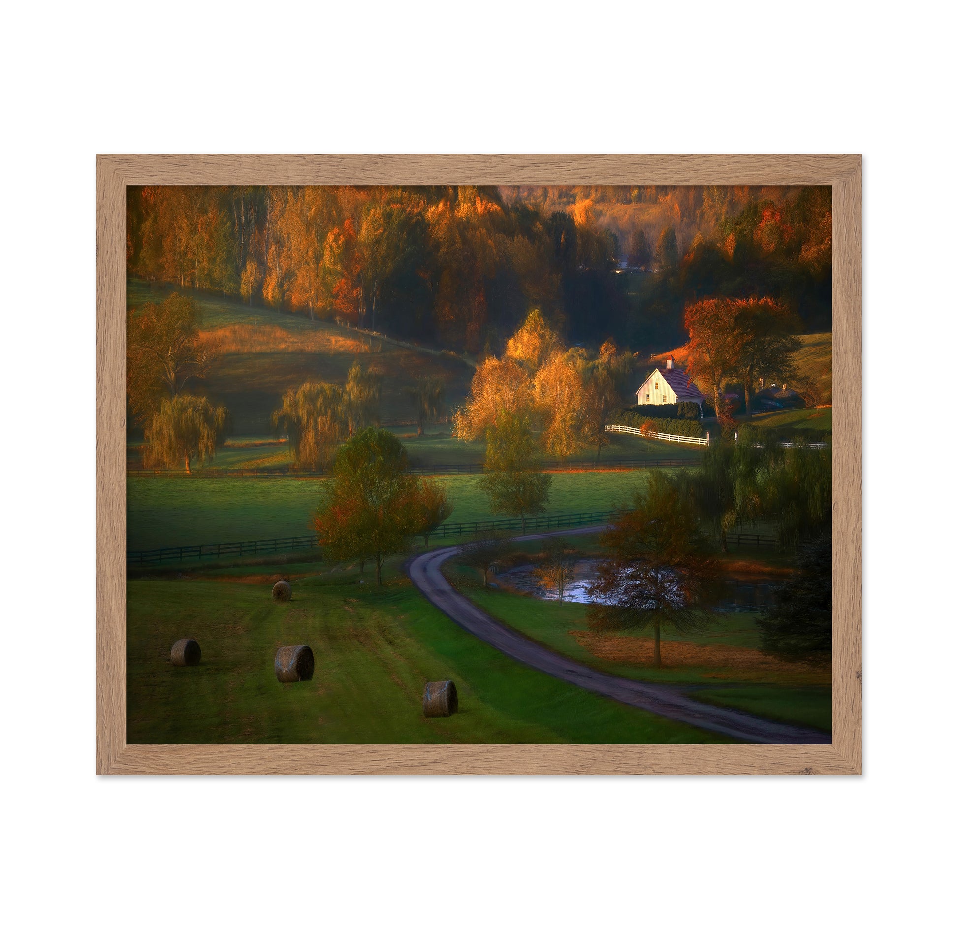 Fall Morning