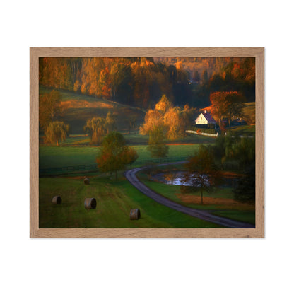 Fall Morning