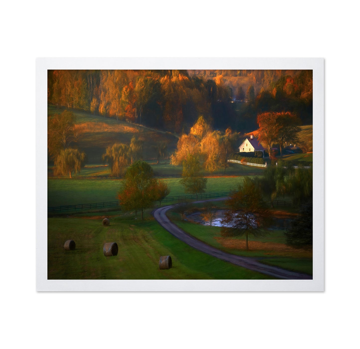 Fall Morning