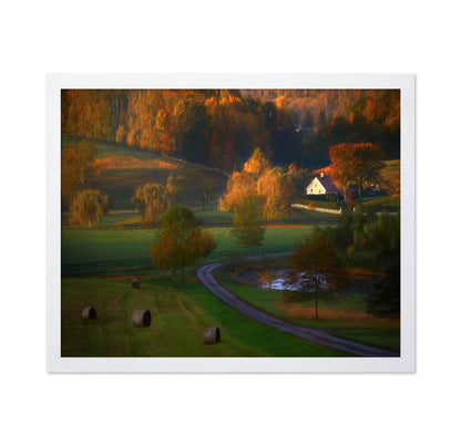Fall Morning