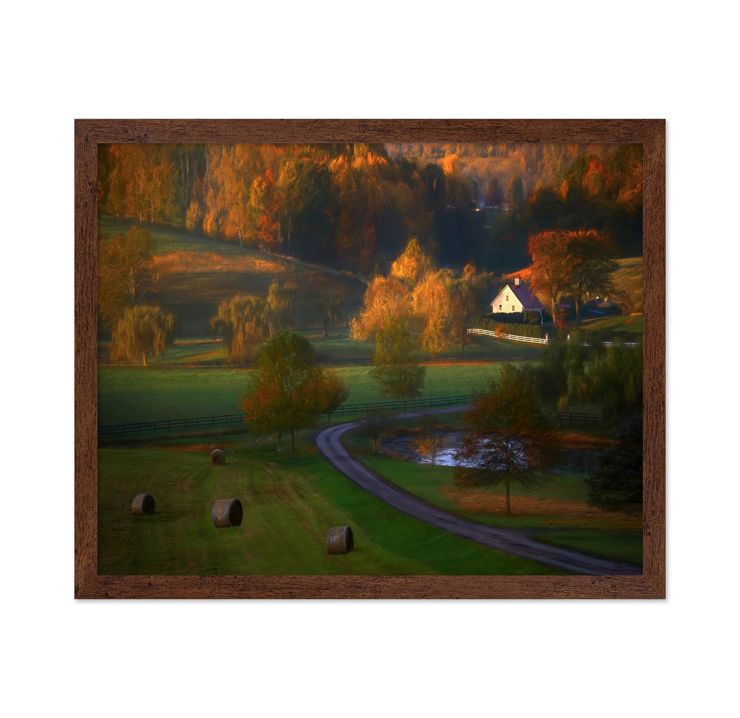 Fall Morning