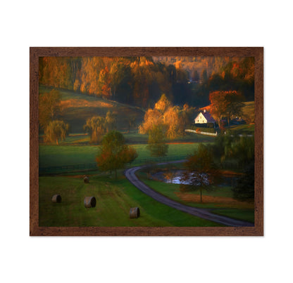 Fall Morning