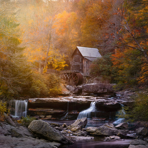 The Mill