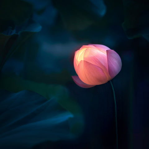 Glow In Dark