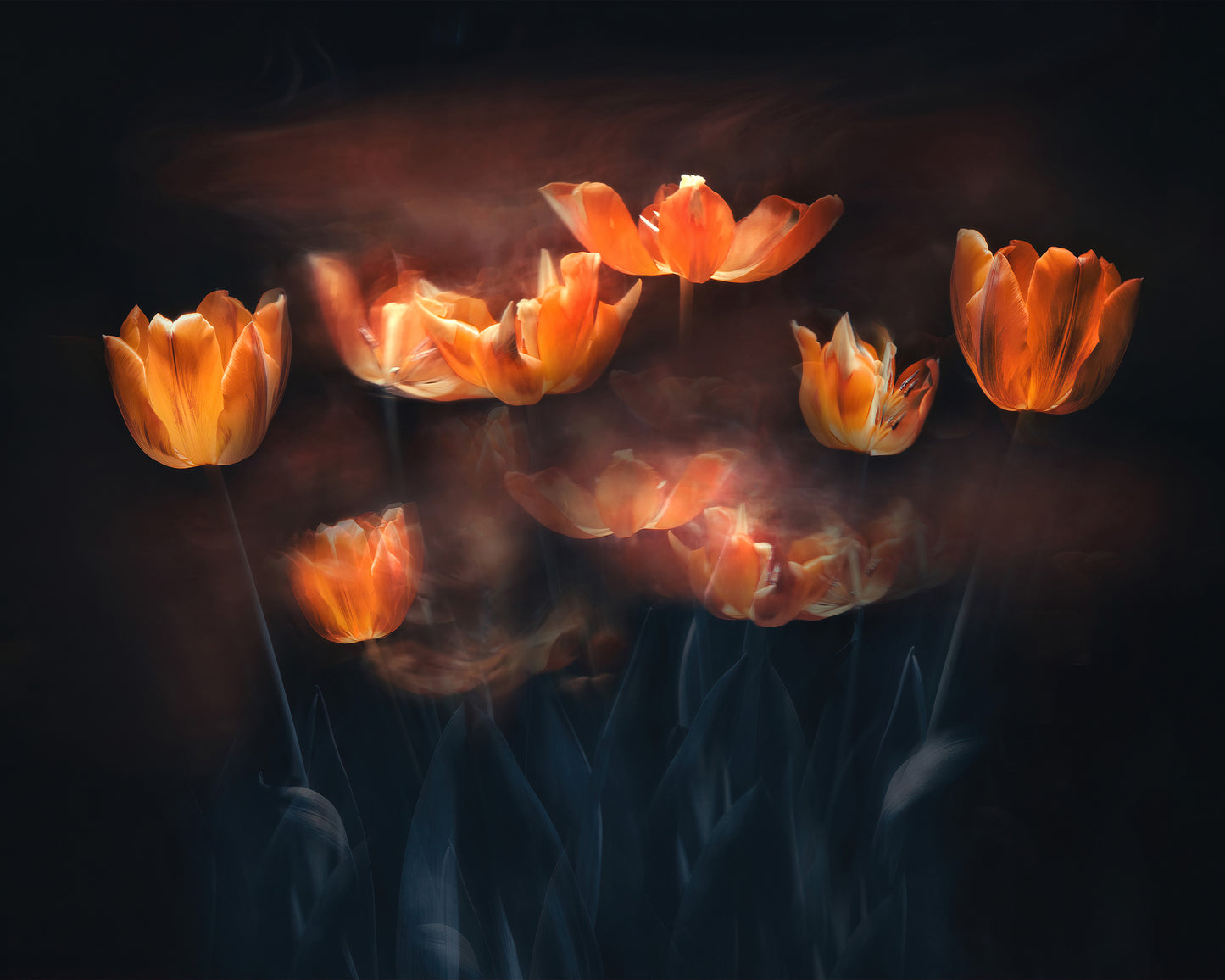Tulips On Fire