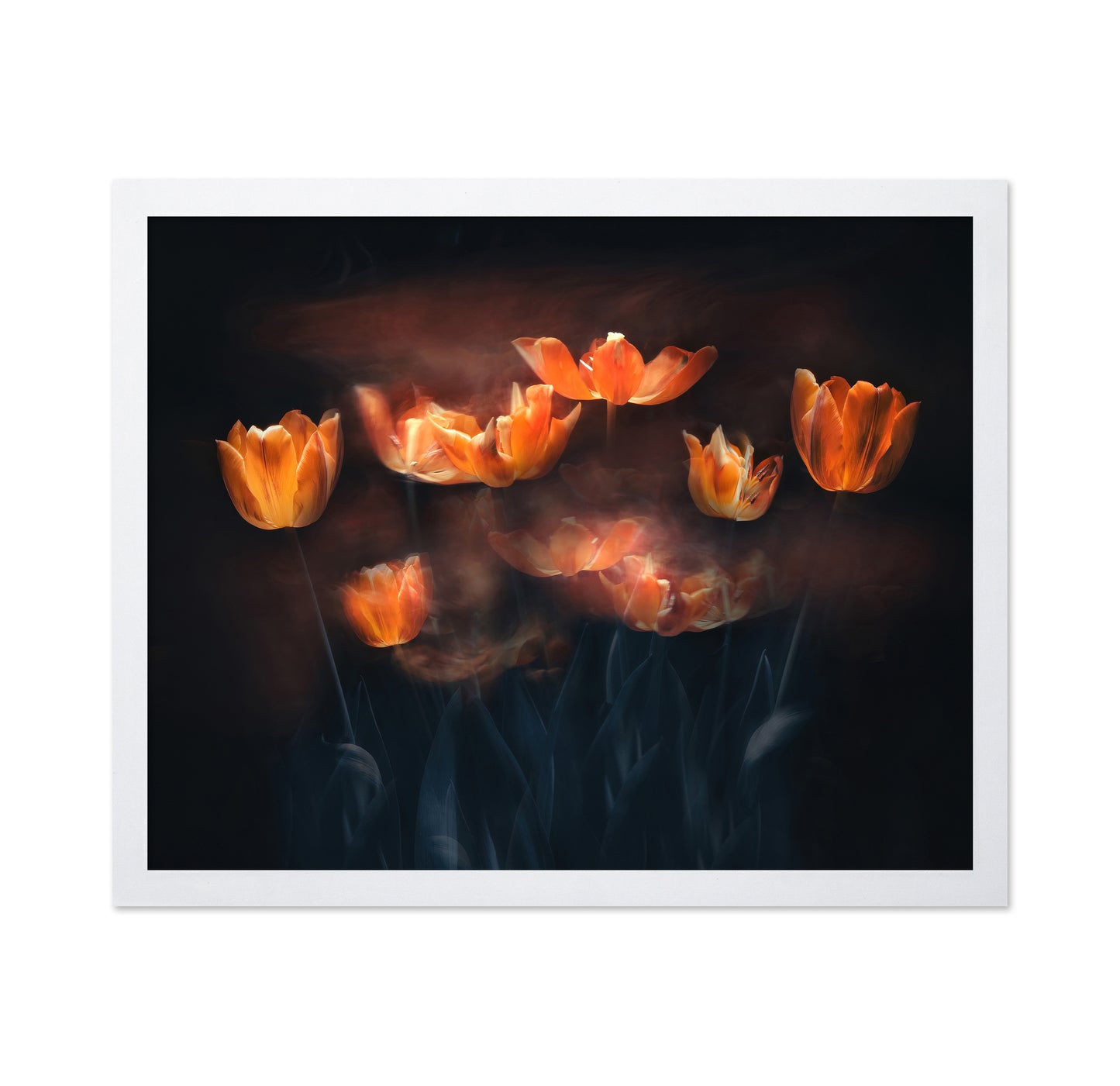 Tulips On Fire