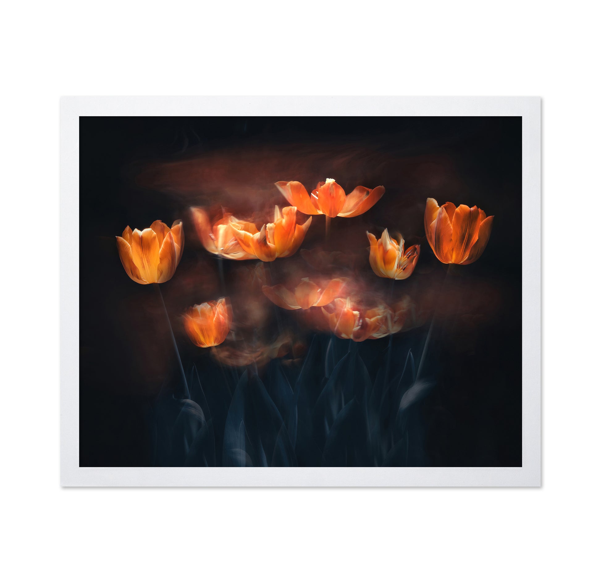 Tulips On Fire