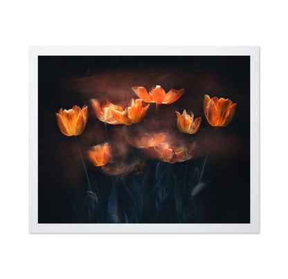 Tulips On Fire