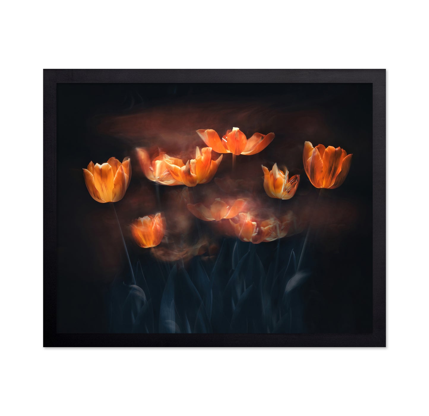 Tulips On Fire