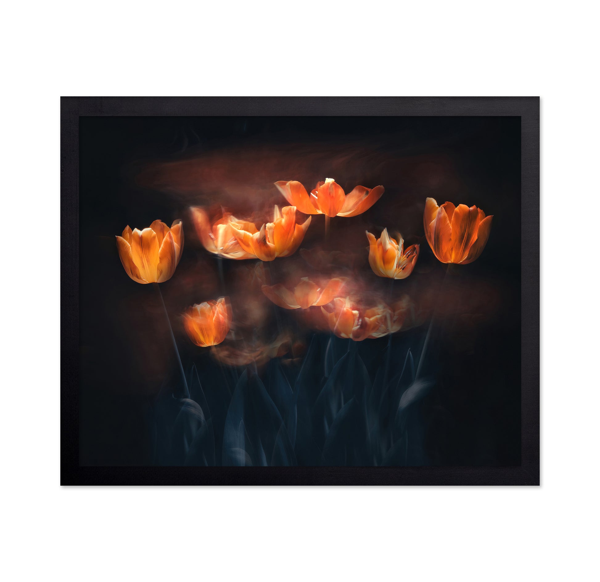 Tulips On Fire