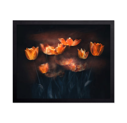Tulips On Fire