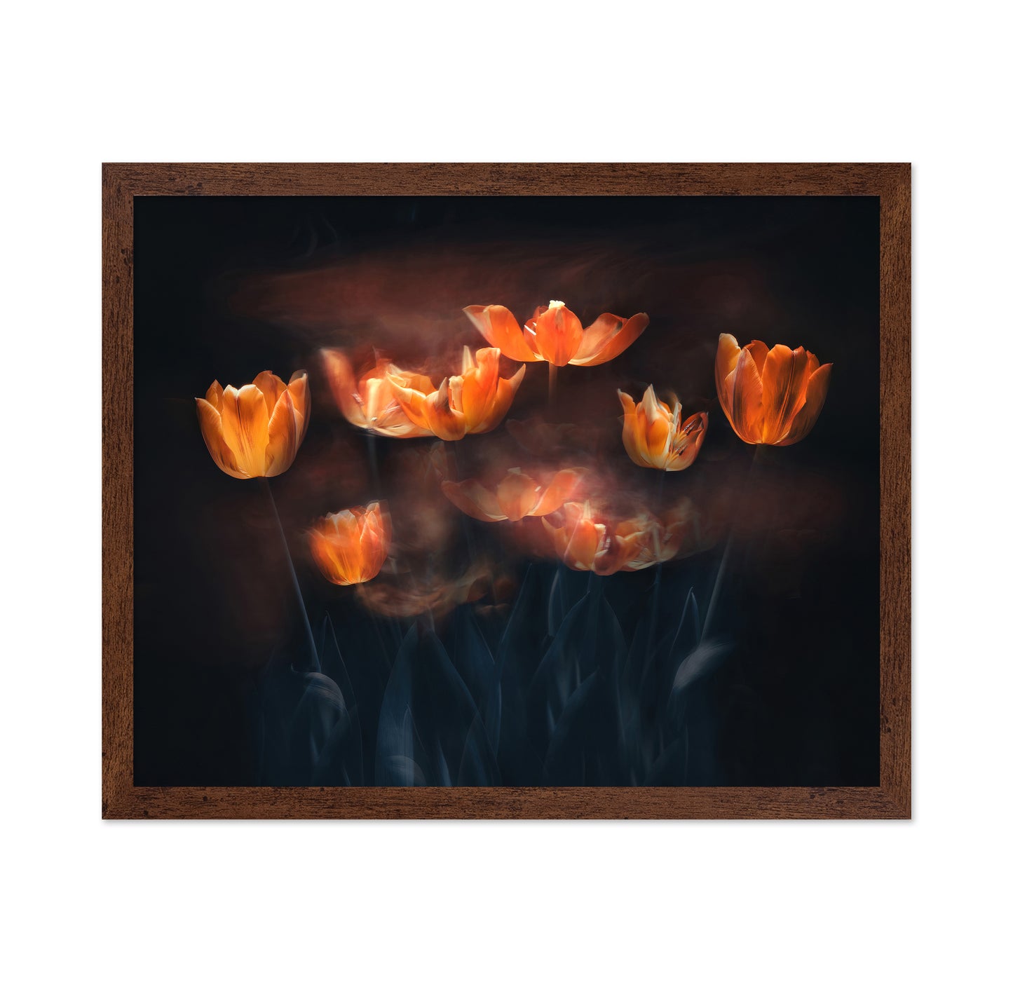 Tulips On Fire
