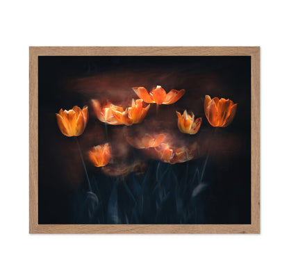 Tulips On Fire