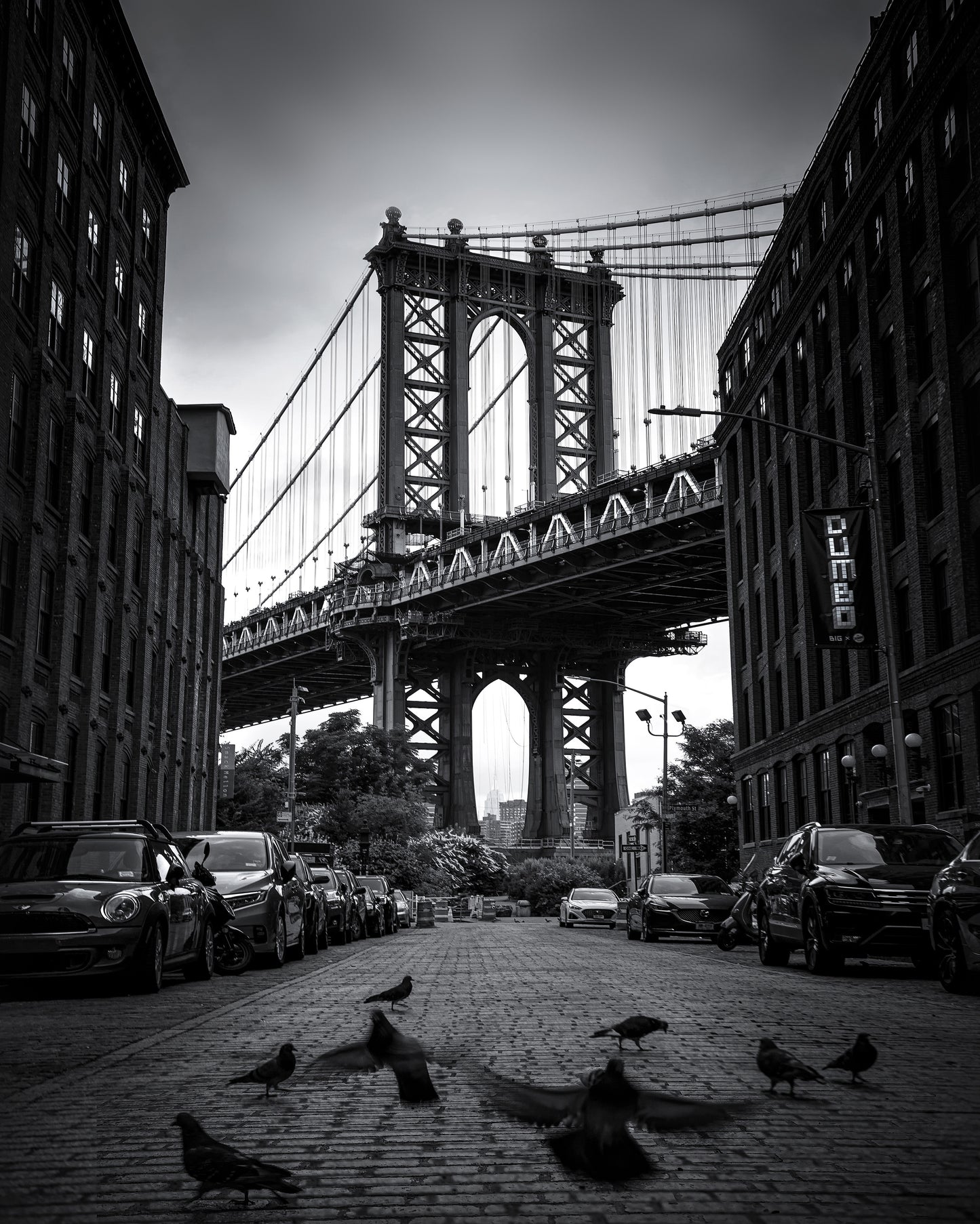Dumbo - NYC No 1