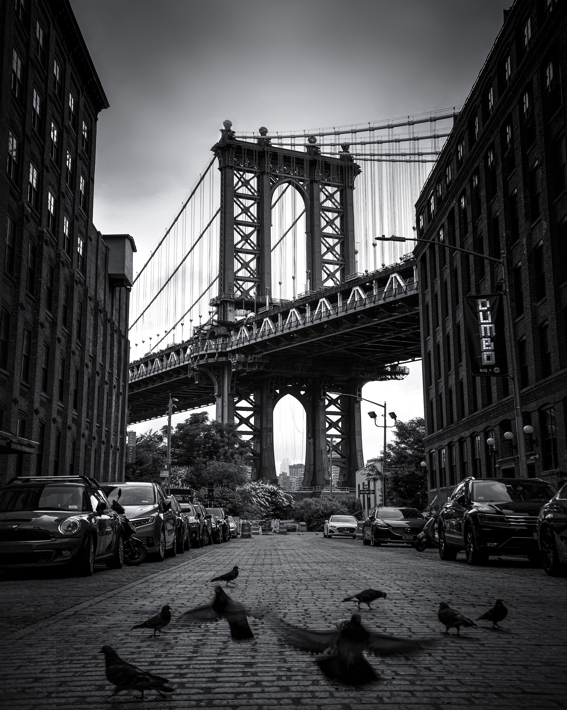 Dumbo - NYC No 1