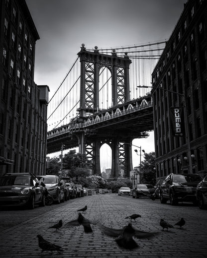 Dumbo - NYC No 1