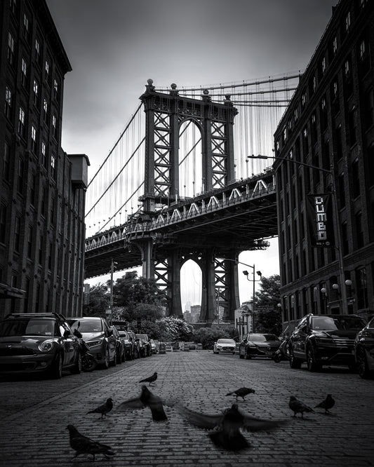 Dumbo - NYC No 1