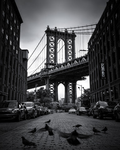 Dumbo - NYC No 1