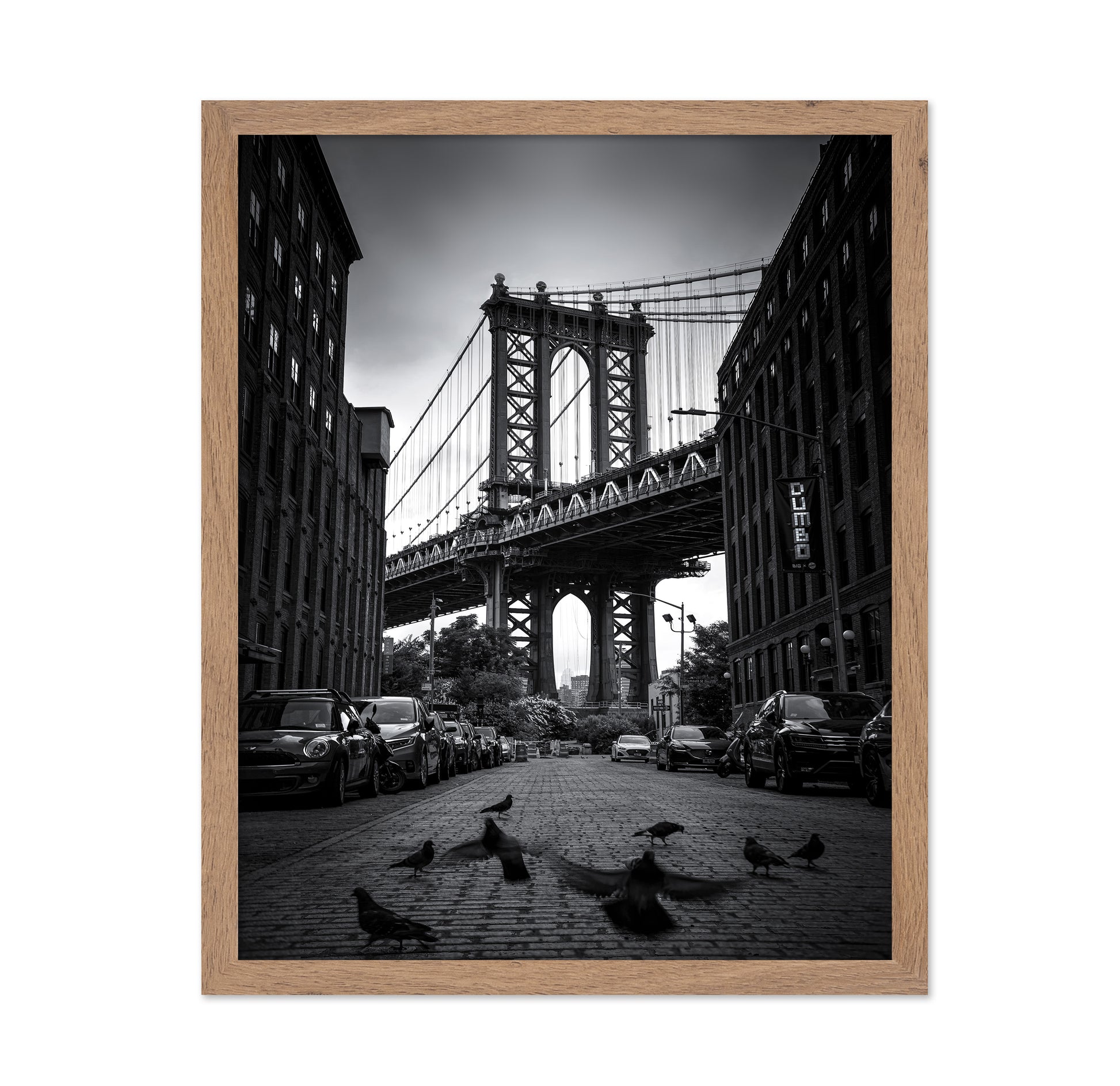 Dumbo - NYC No 1