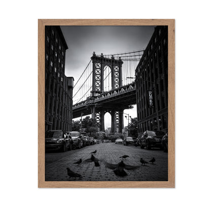 Dumbo - NYC No 1