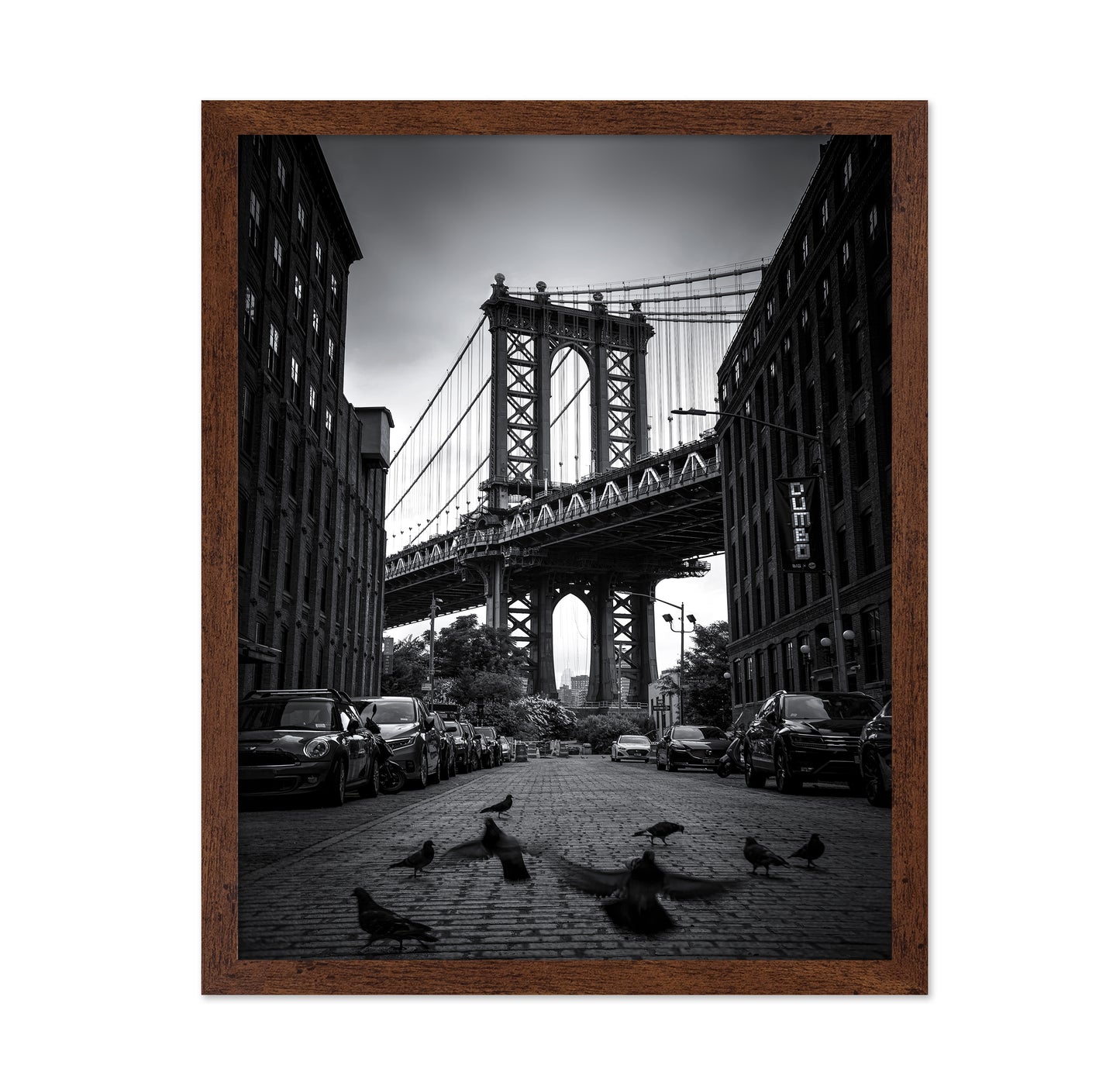 Dumbo - NYC No 1