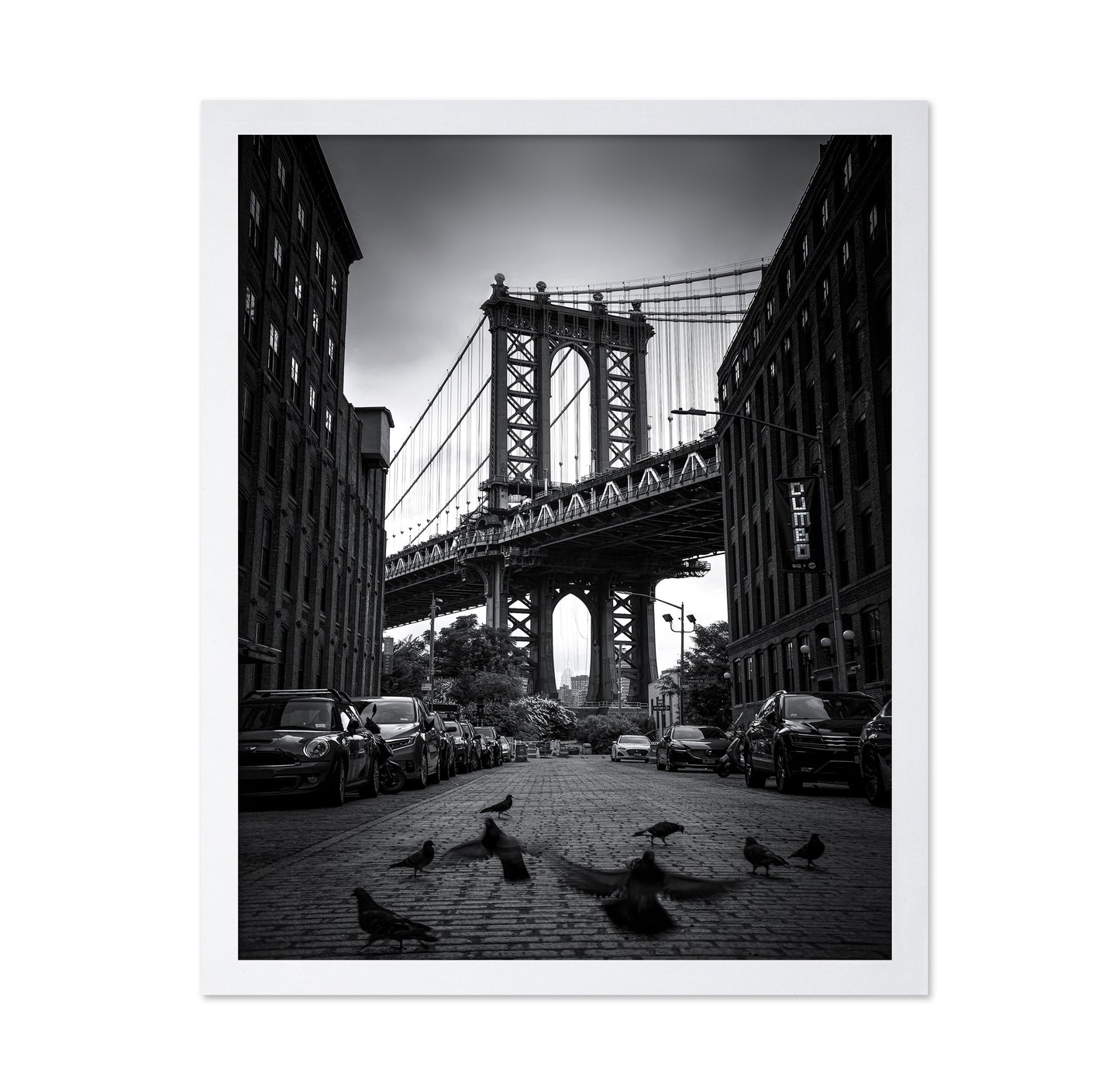 Dumbo - NYC No 1