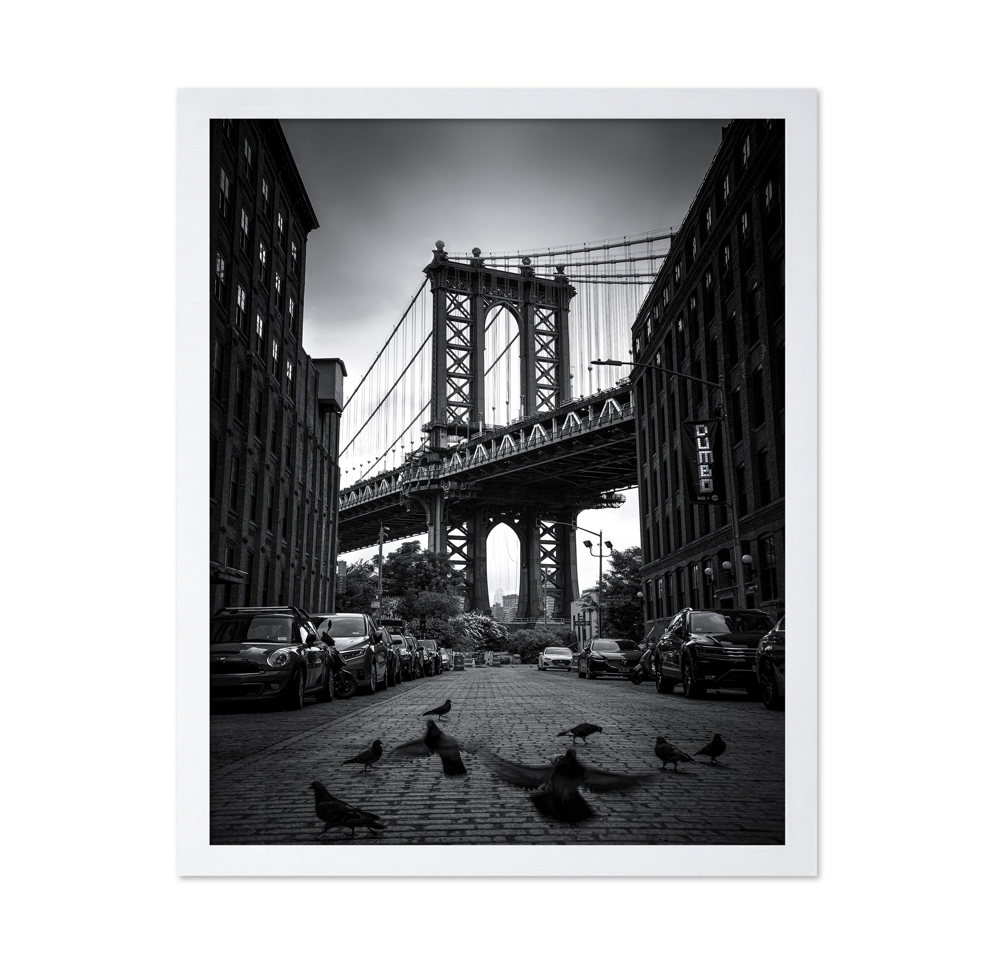 Dumbo - NYC No 1