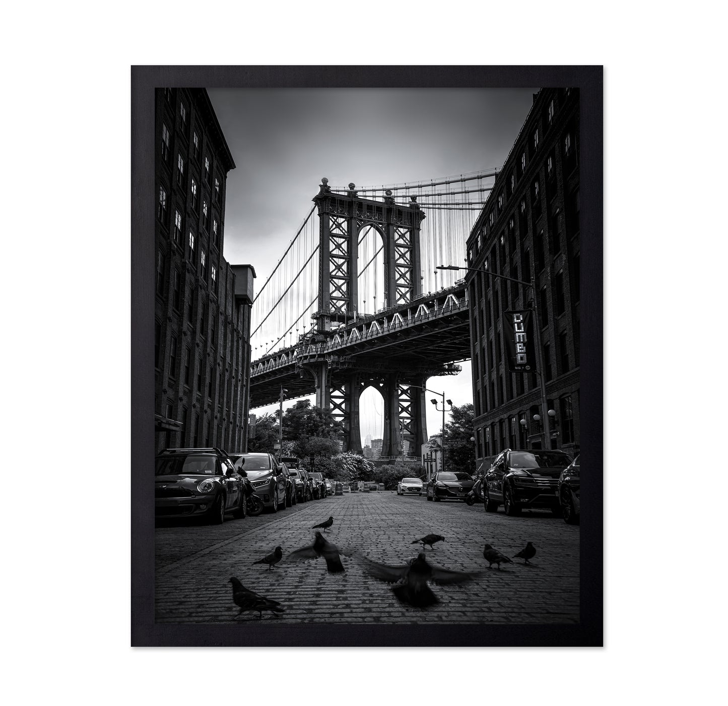 Dumbo - NYC No 1