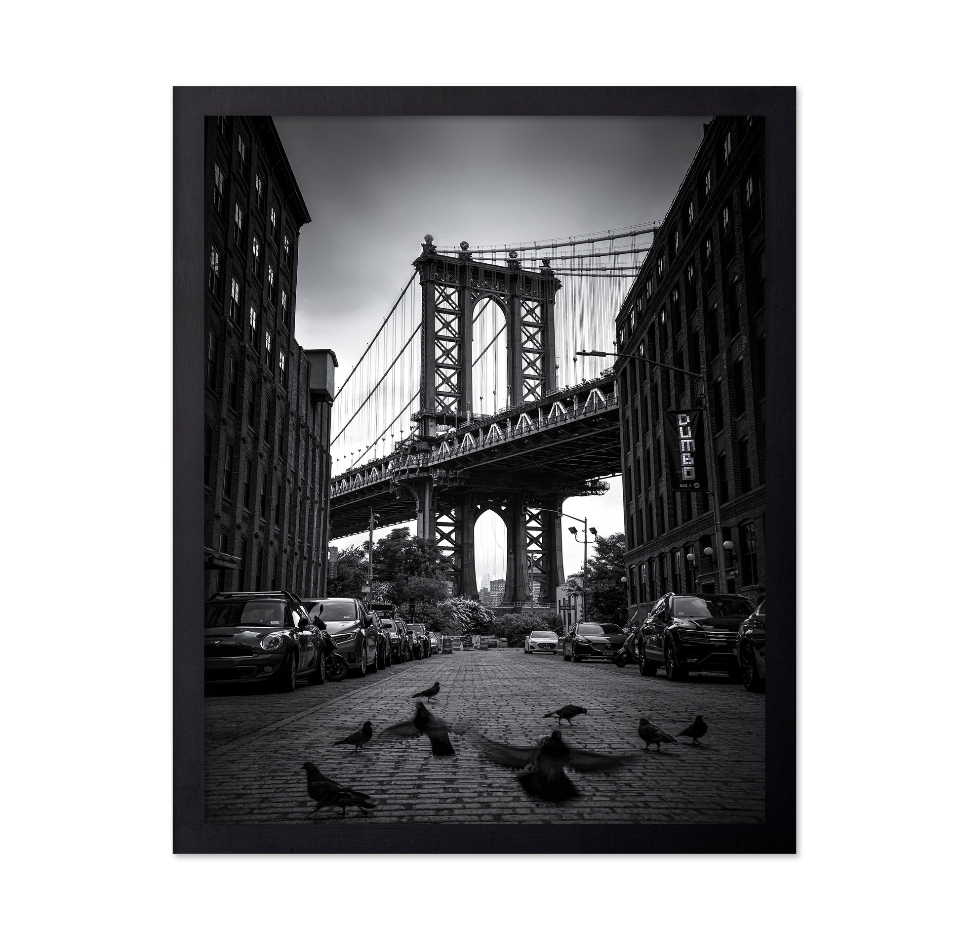 Dumbo - NYC No 1