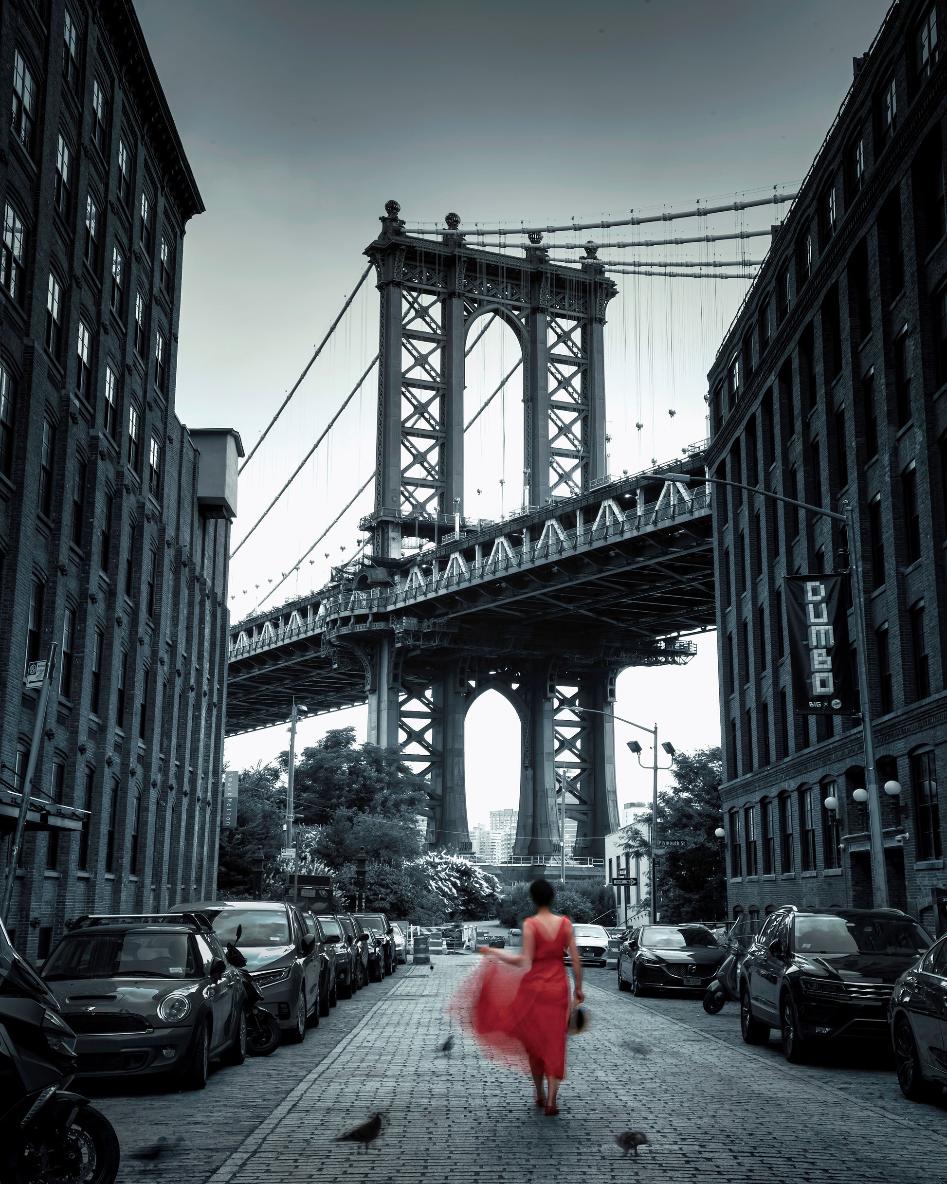 Dumbo - NYC No 2