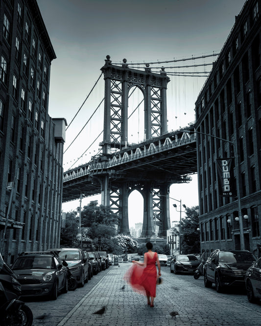 Dumbo - NYC No 2