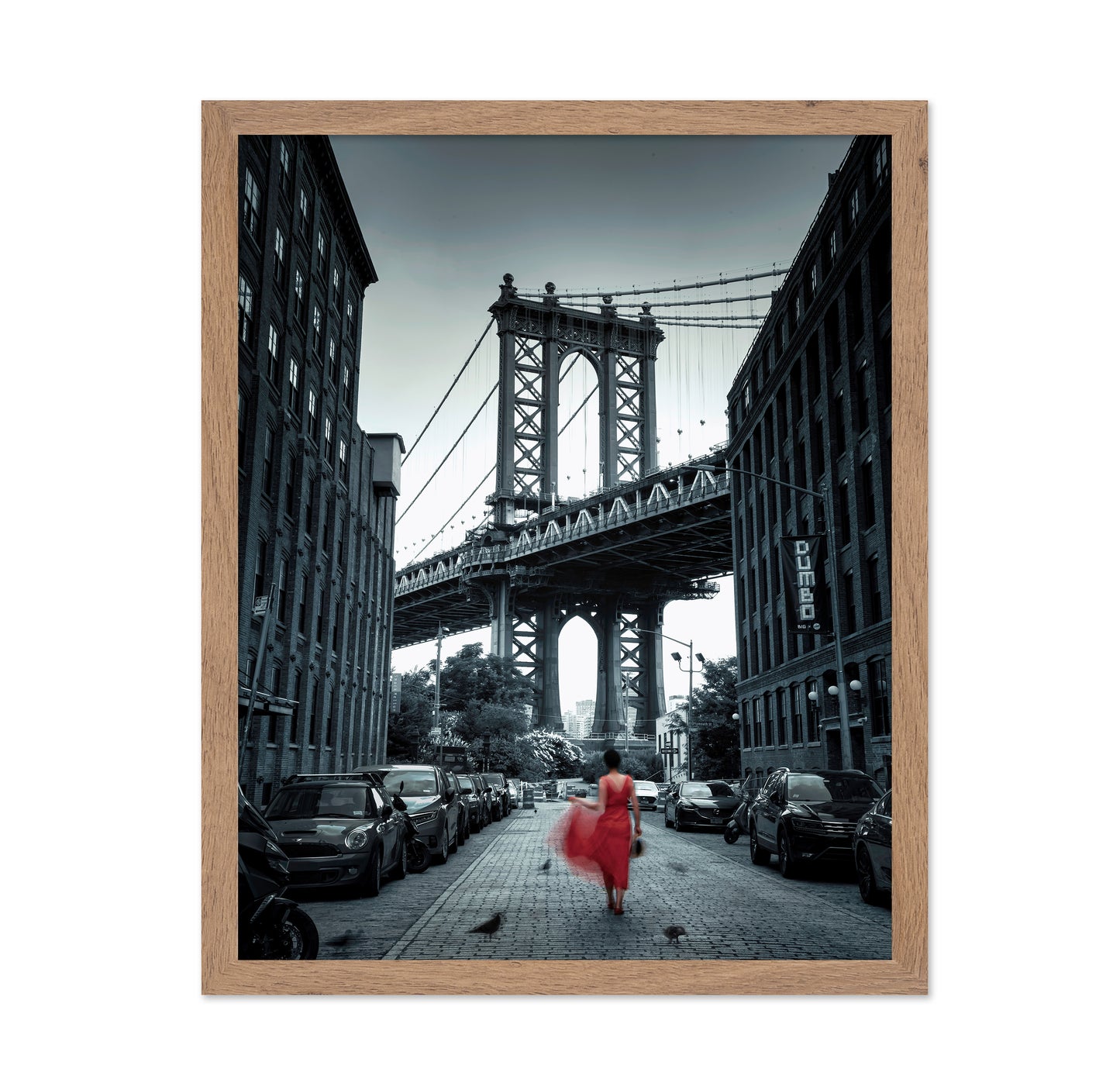 Dumbo - NYC No 2