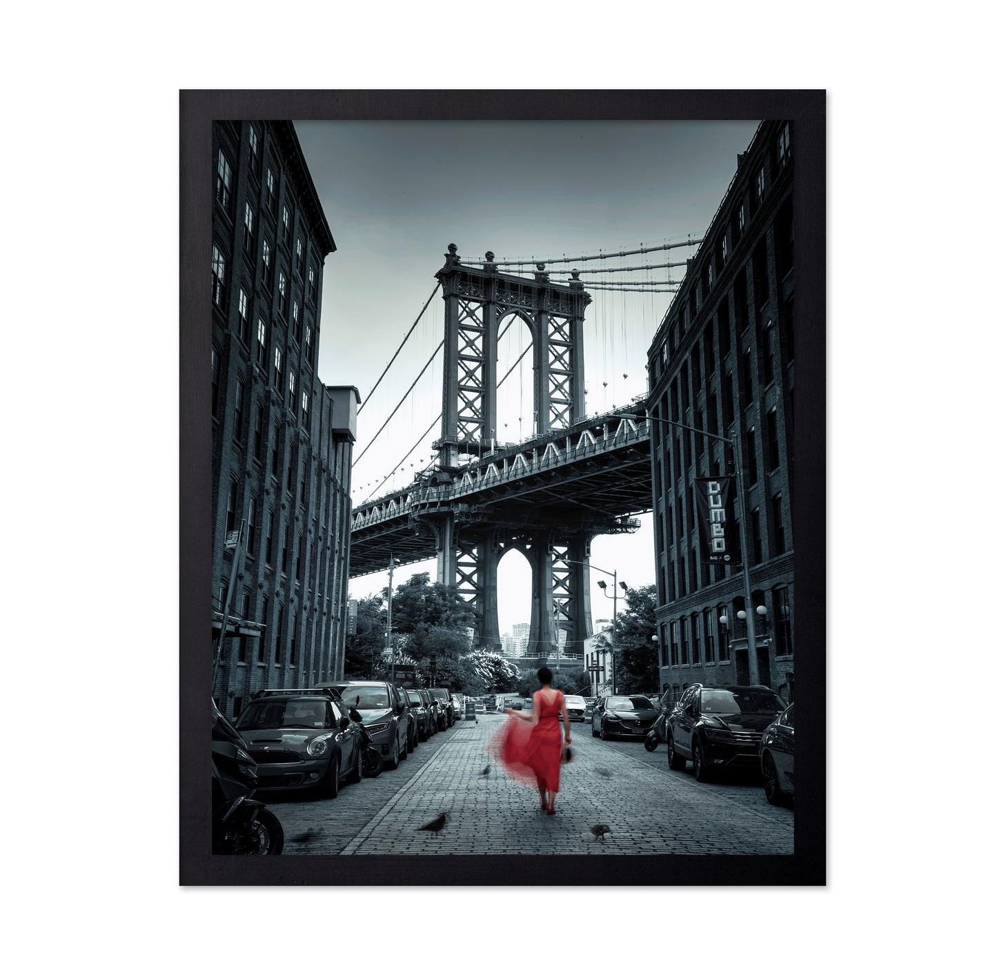 Dumbo - NYC No 2