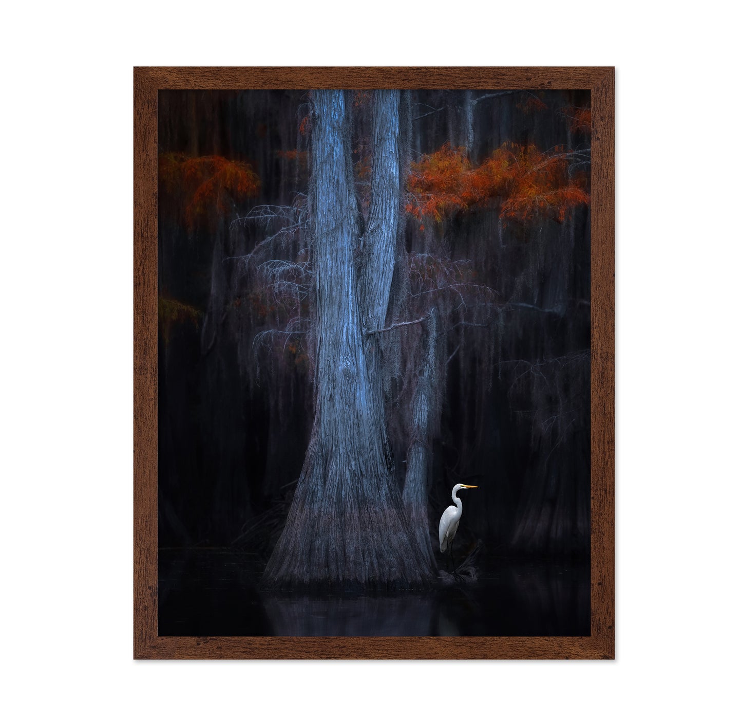 Caddo Lake No 1