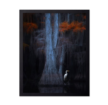 Caddo Lake No 1
