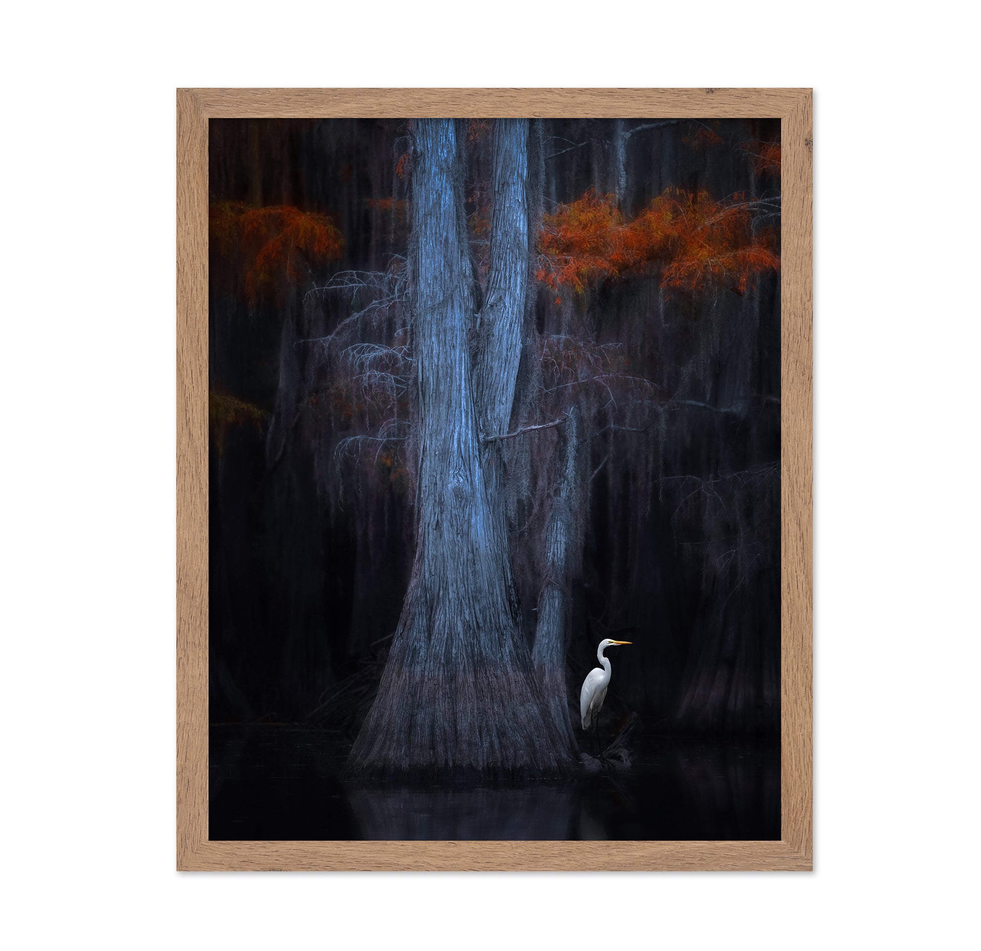 Caddo Lake No 1