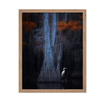 Caddo Lake No 1