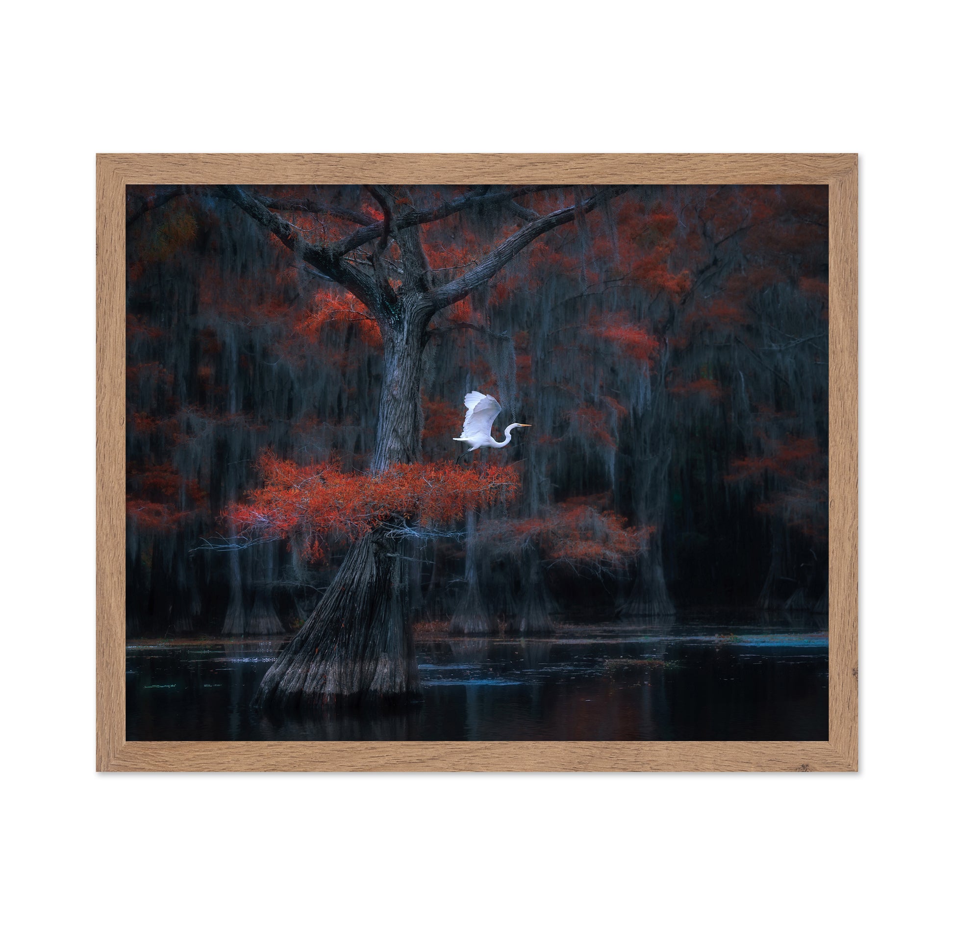 Caddo Lake No 2