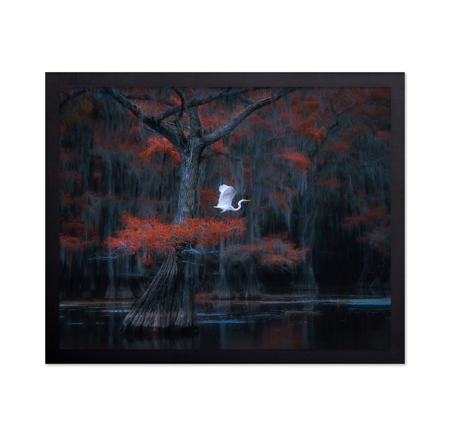 Caddo Lake No 2