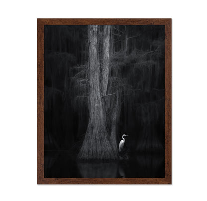 Caddo Lake No 3