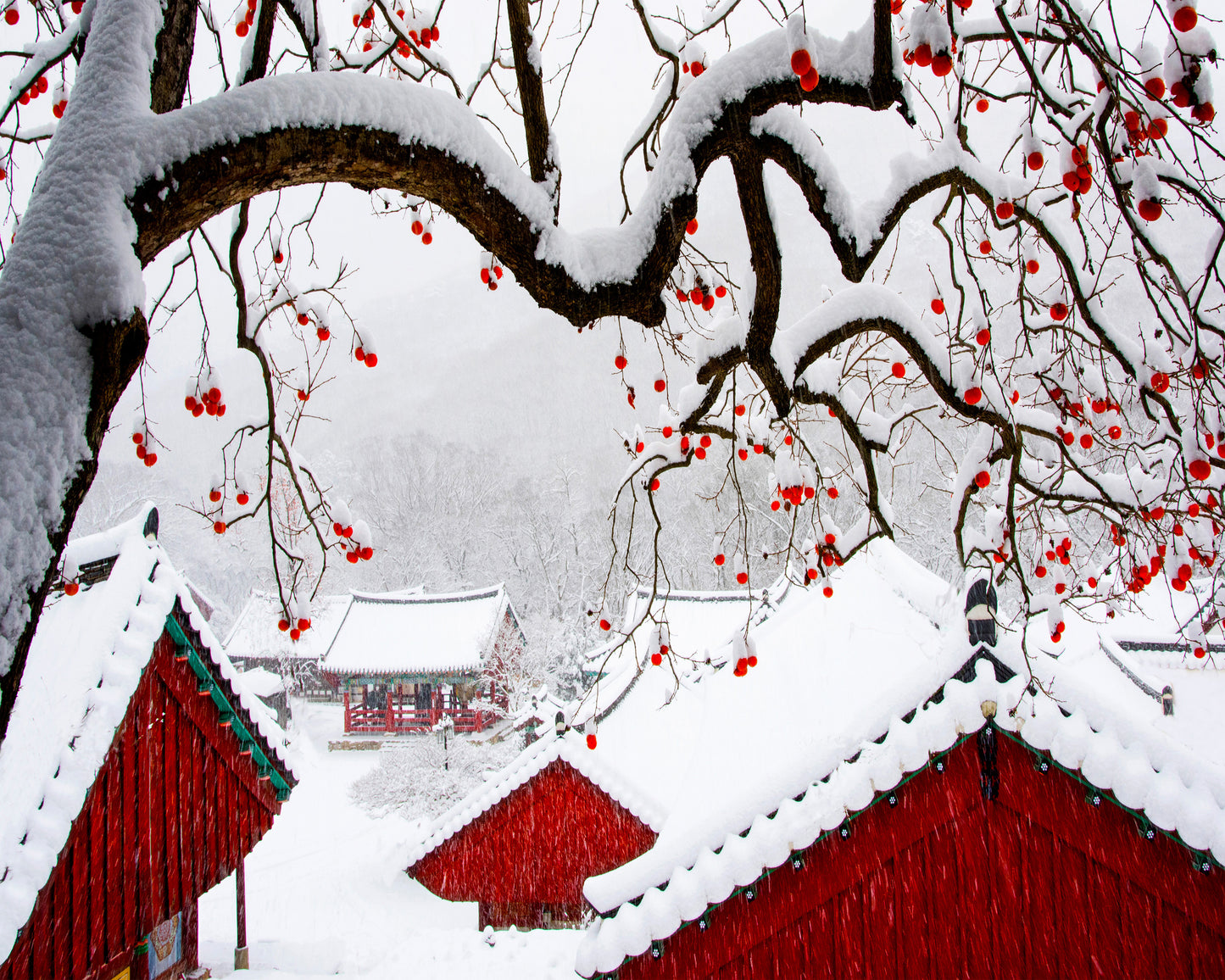 Snow In Temple
