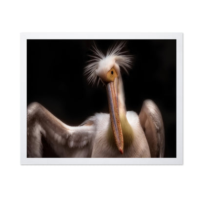 Pelican's Portrait