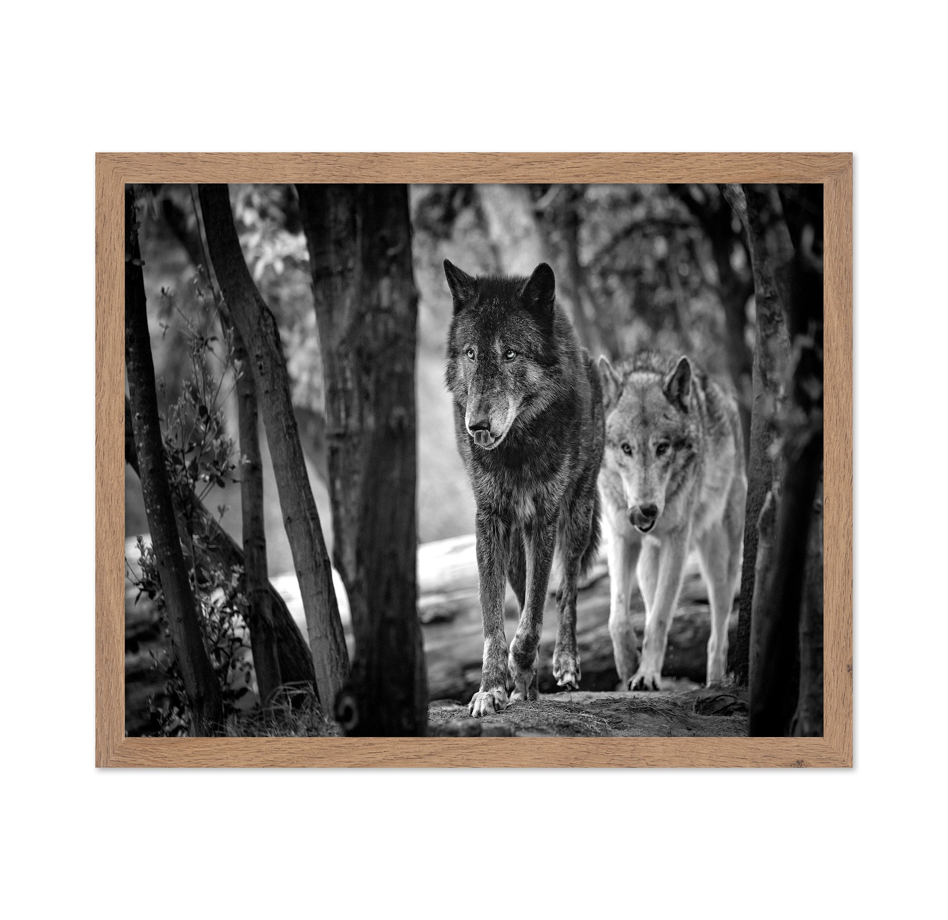 Walking Wolves