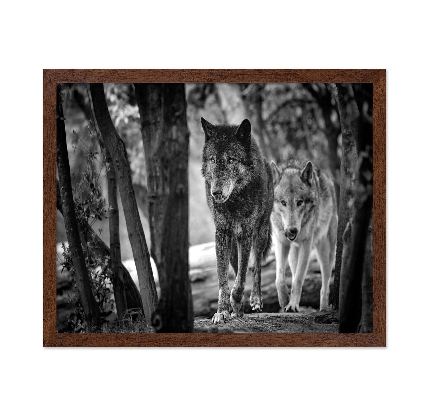 Walking Wolves