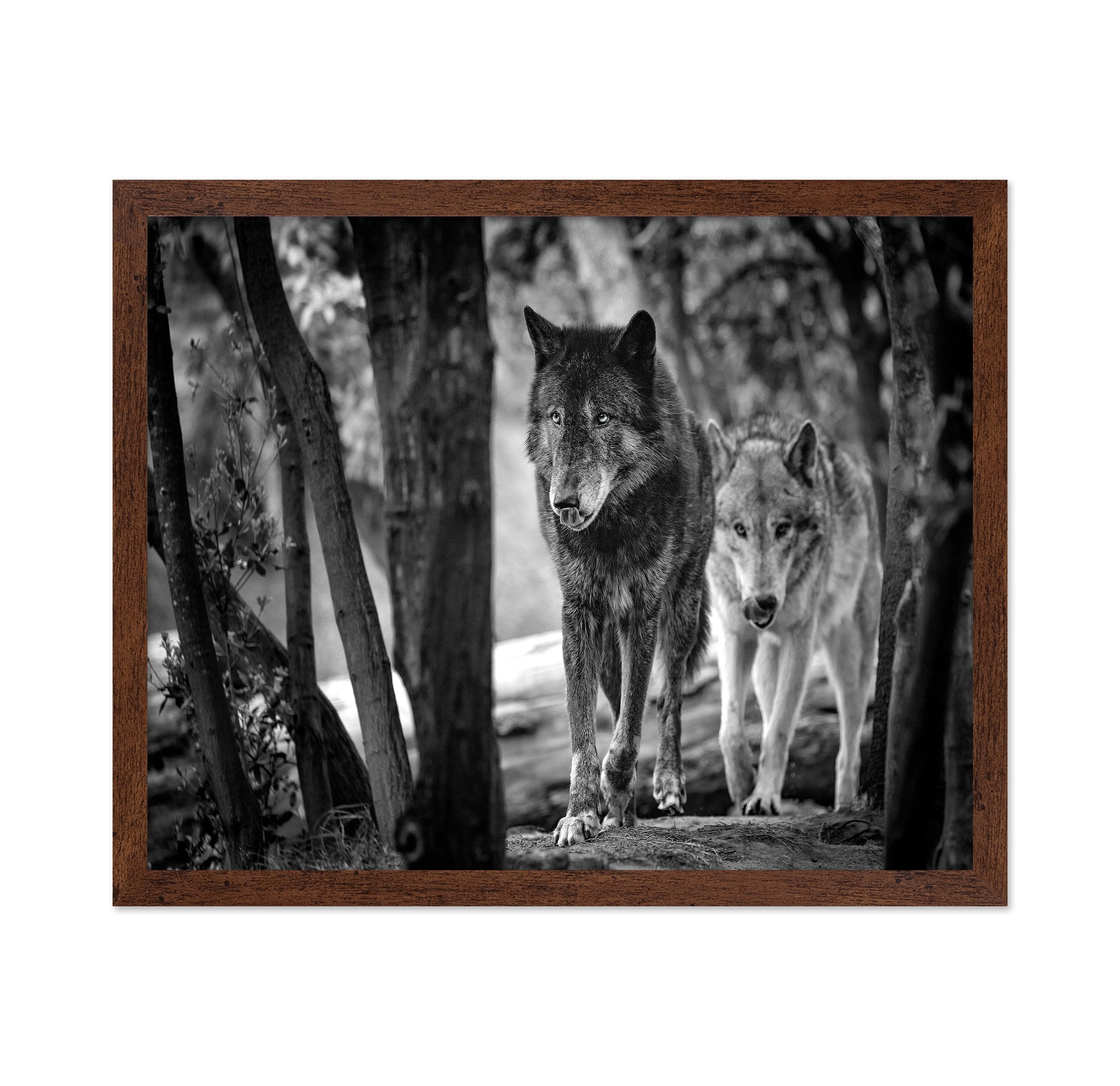 Walking Wolves