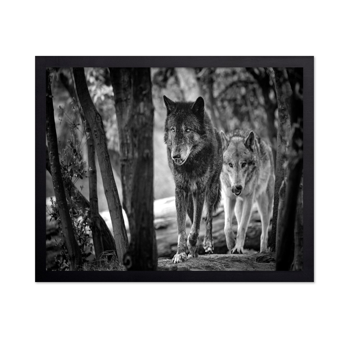 Walking Wolves