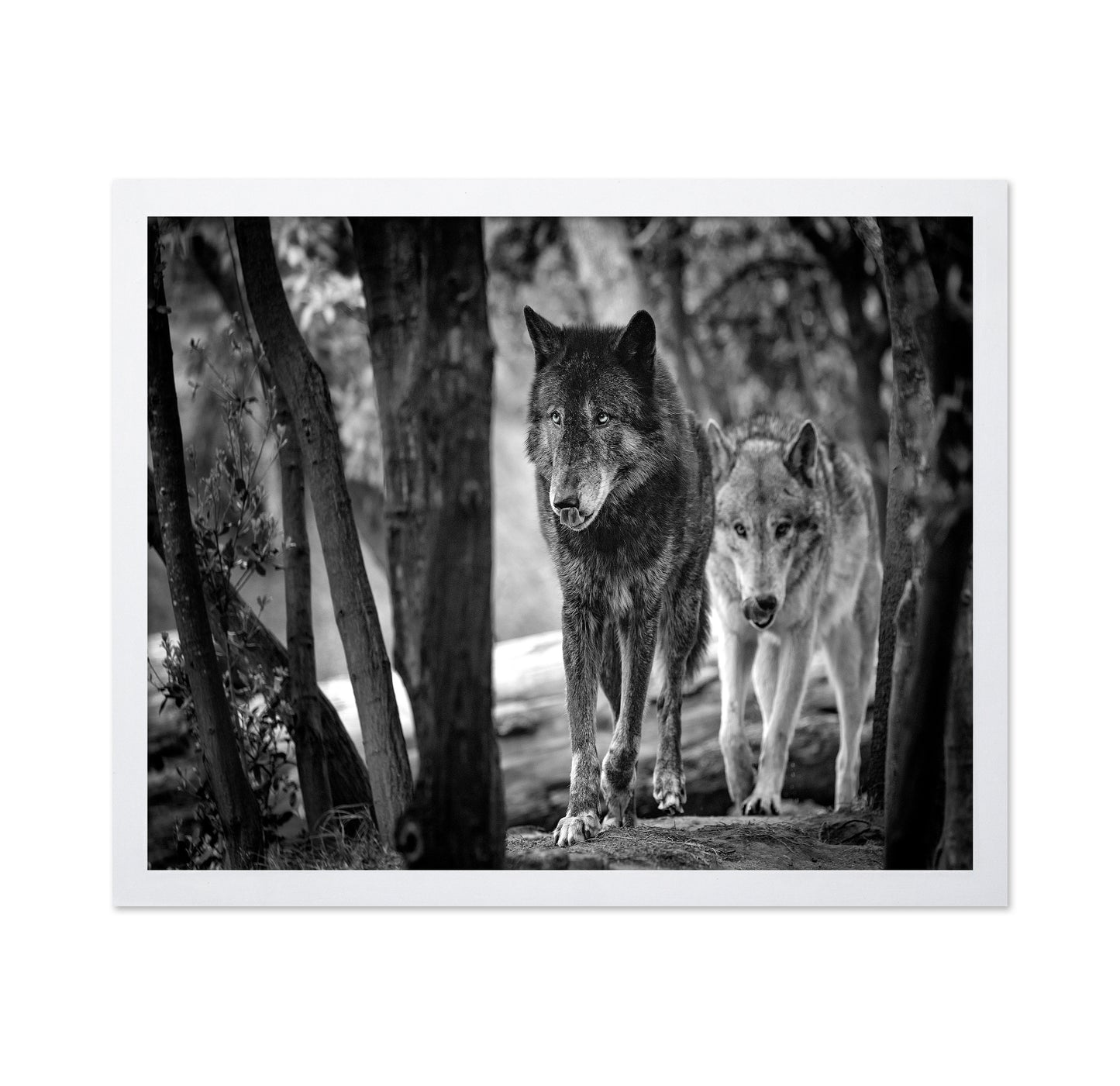 Walking Wolves