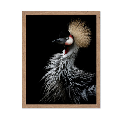 Crowned Crane's Portrait
