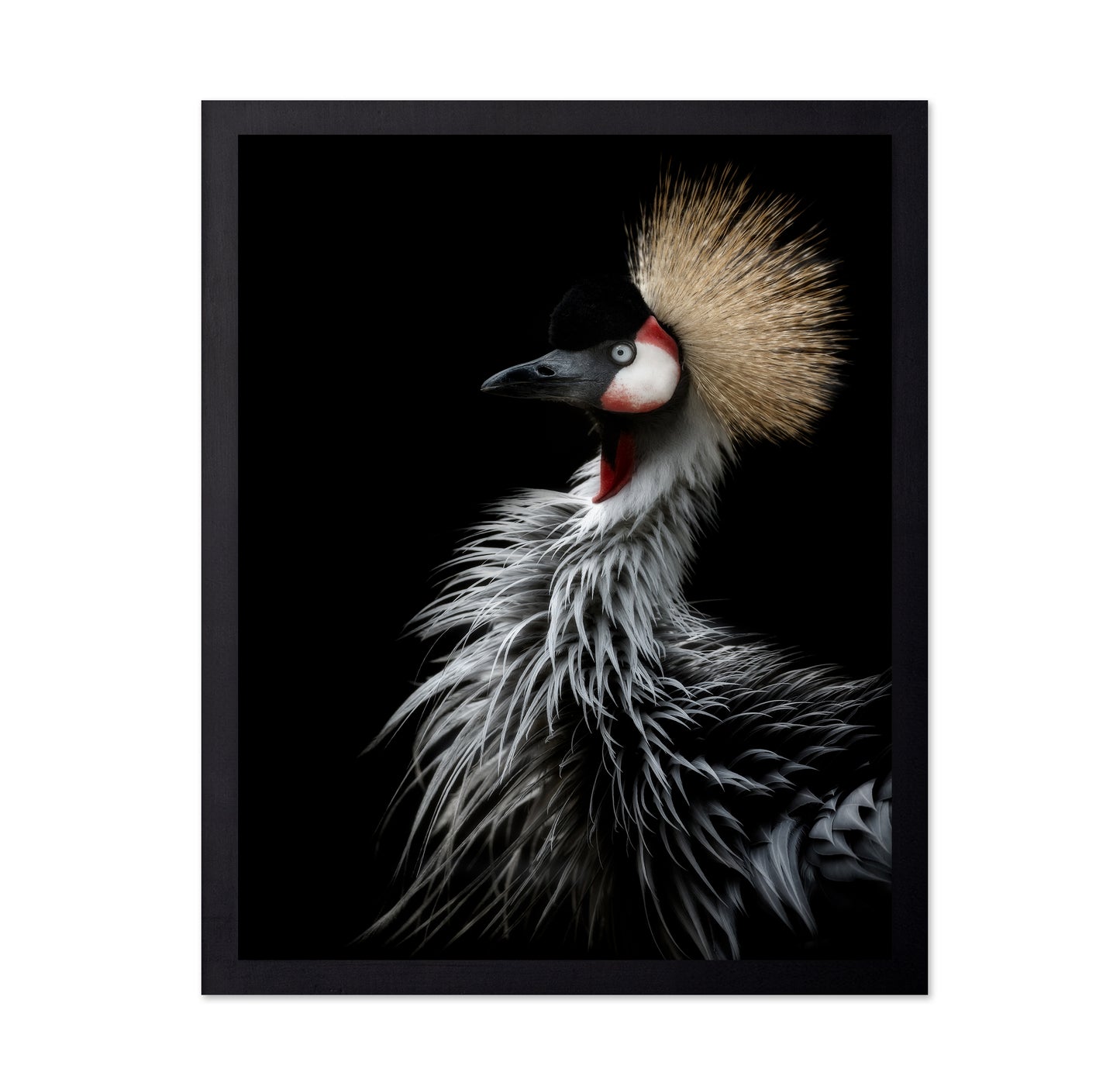 Crowned Crane's Portrait