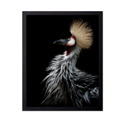 Crowned Crane's Portrait